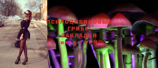 амф Алексеевка