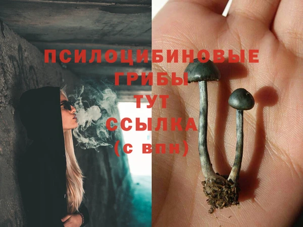 дживик Алексин
