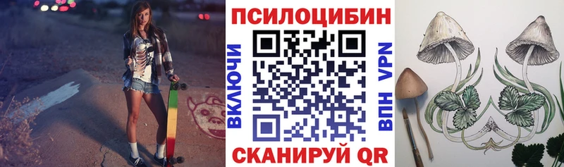 Галлюциногенные грибы Cubensis  Нижний Новгород 