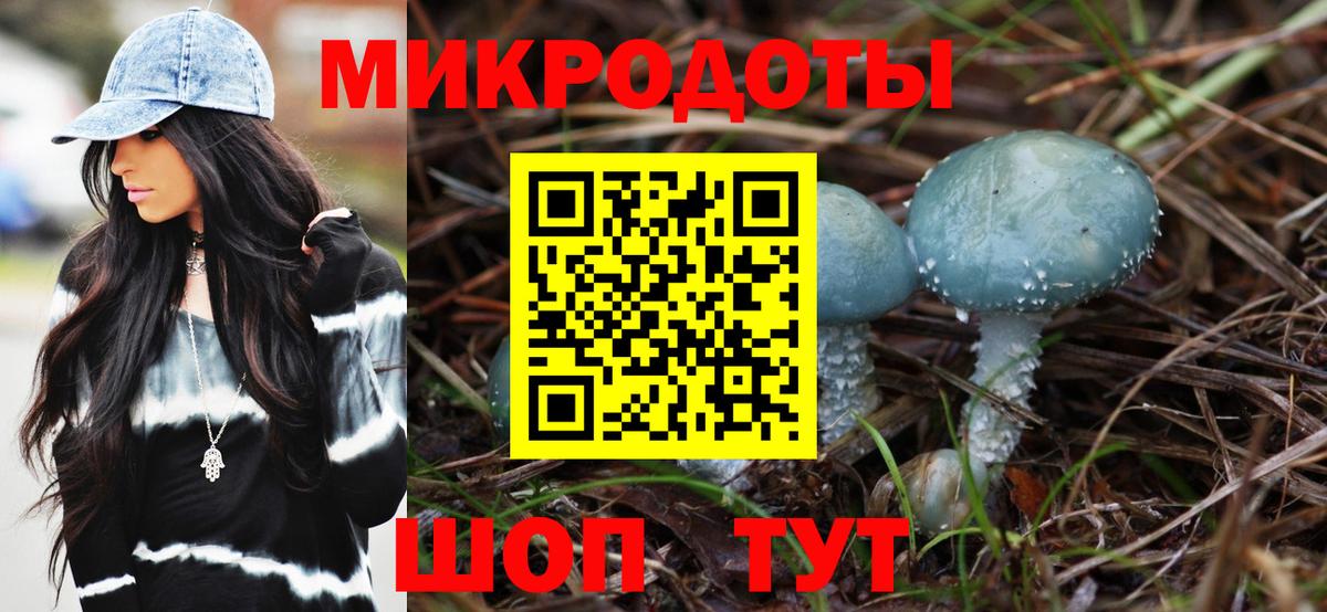 Галлюциногенные грибы прущие грибы Нижний Новгород