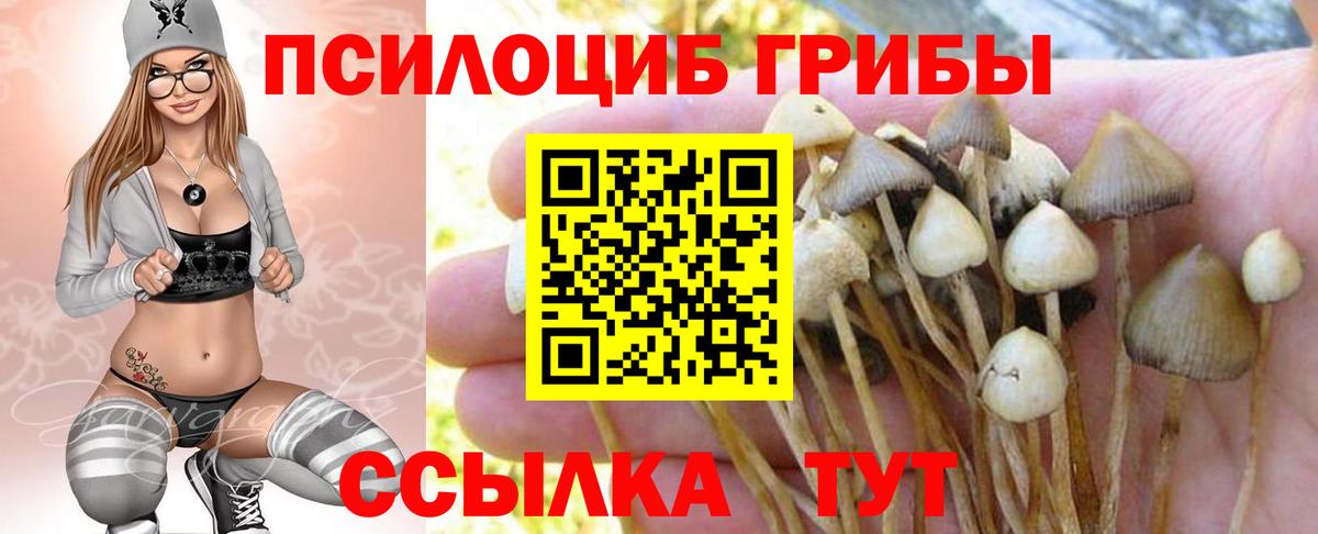 Галлюциногенные грибы мицелий  Вход с VPN  Нижний Новгород  Псилоцибиновые грибы мицелий 